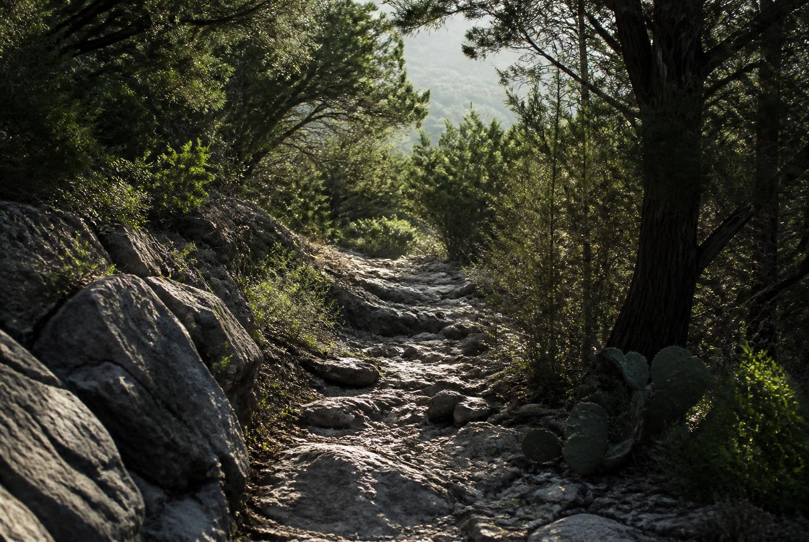 Blurred preview of an upcoming trail, revealed closer to the ruck